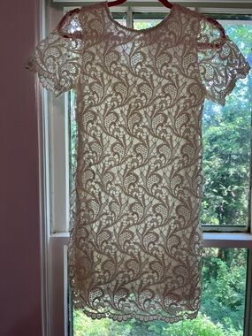She + Sky Cream Lace Overlay Shift Dress